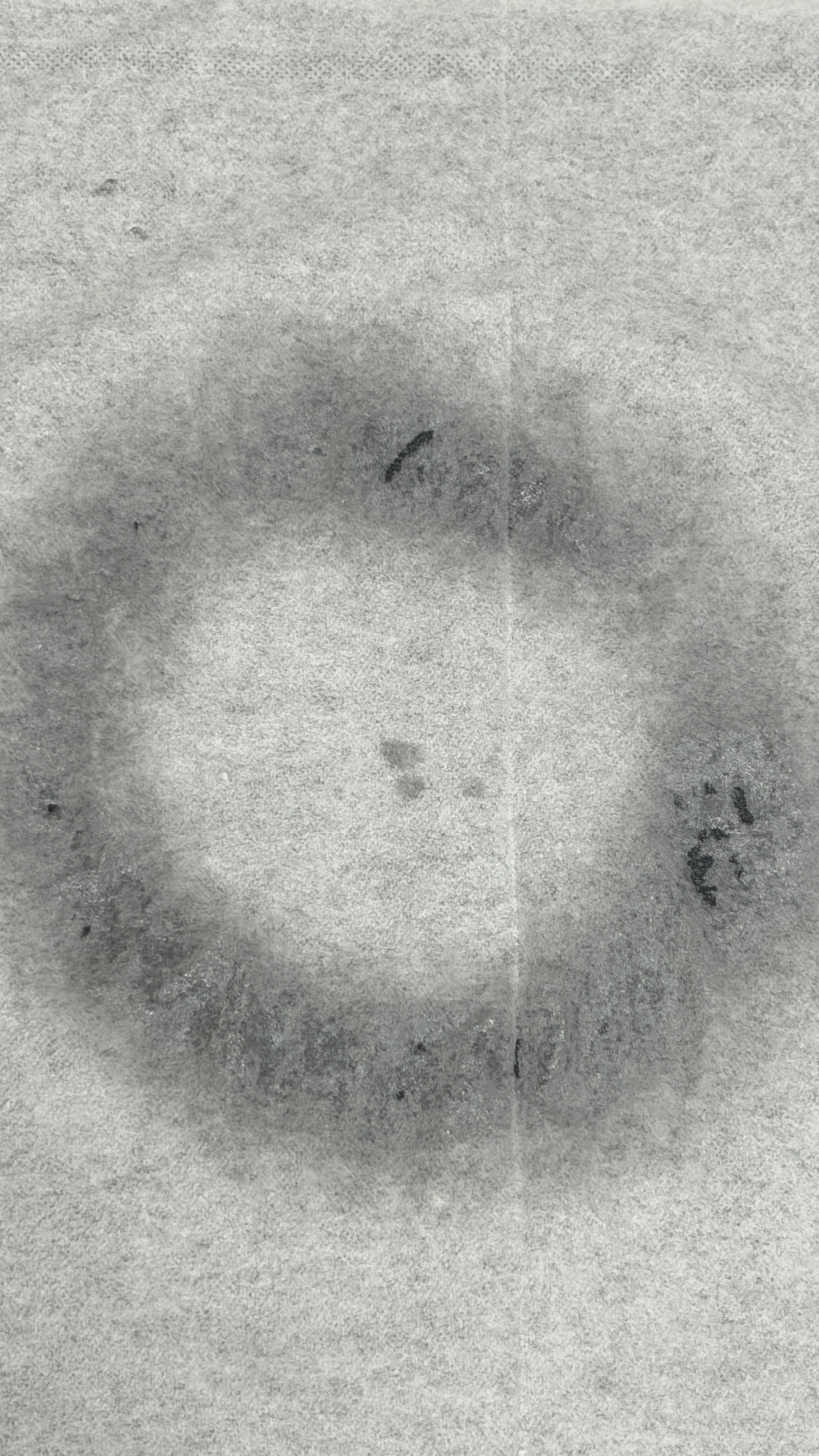 PDRNピンクゼリーセラムミスト/MEDICUBE/美容液を使ったクチコミ（3枚目）