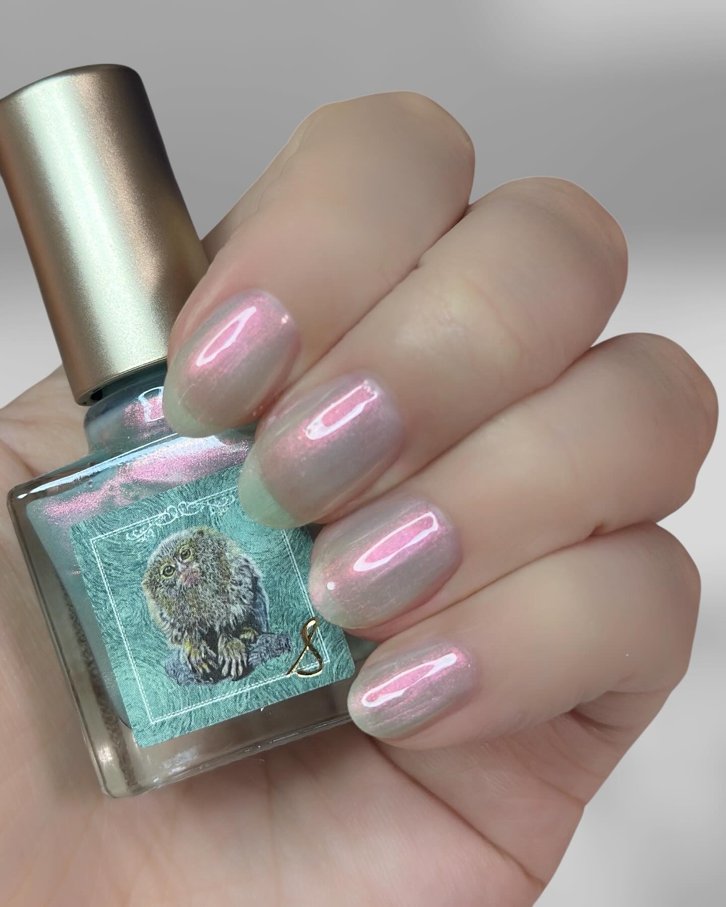 ネイルエス/ nail S(ネイルエス) /マニキュアを使ったクチコミ（2枚目）