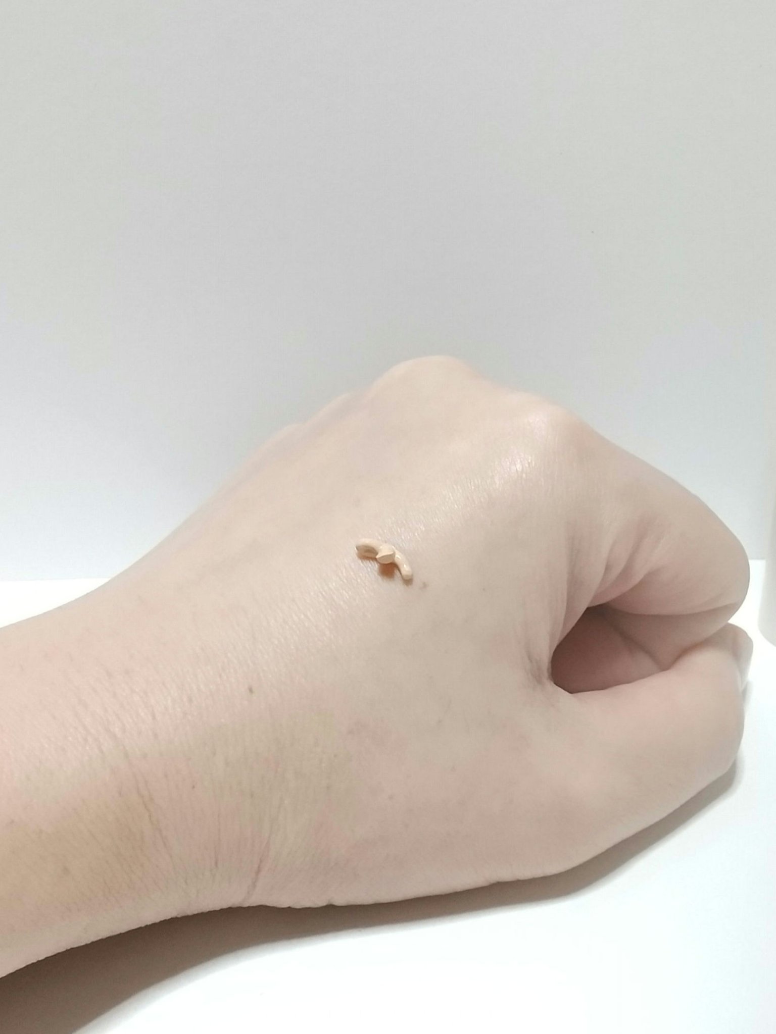 プレミアム ビジョンファンデーション/エクスボーテ/リキッドファンデーションを使ったクチコミ（2枚目）