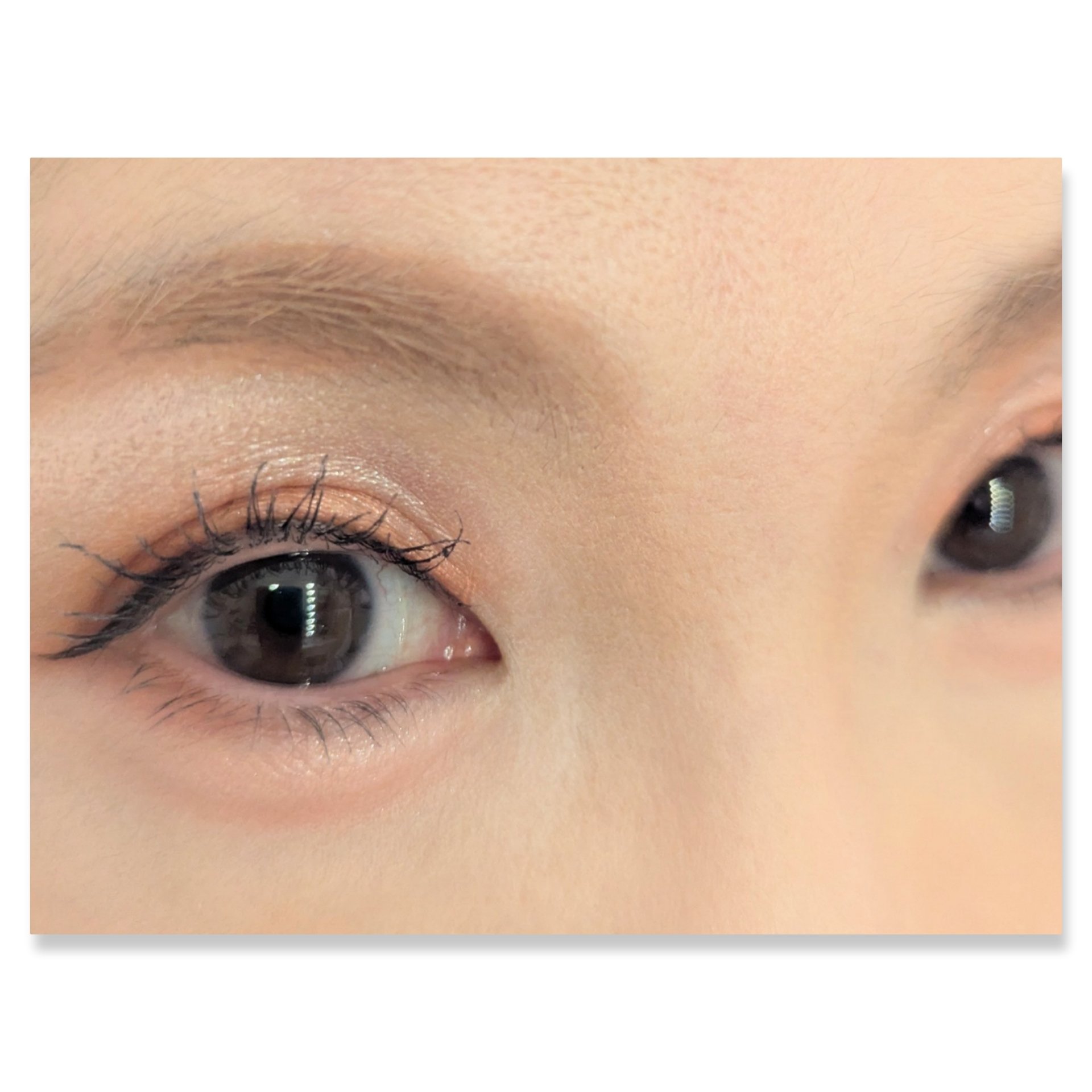 ジュエリーシャドウベール/キャンメイク/アイシャドウパレットを使ったクチコミ（2枚目）