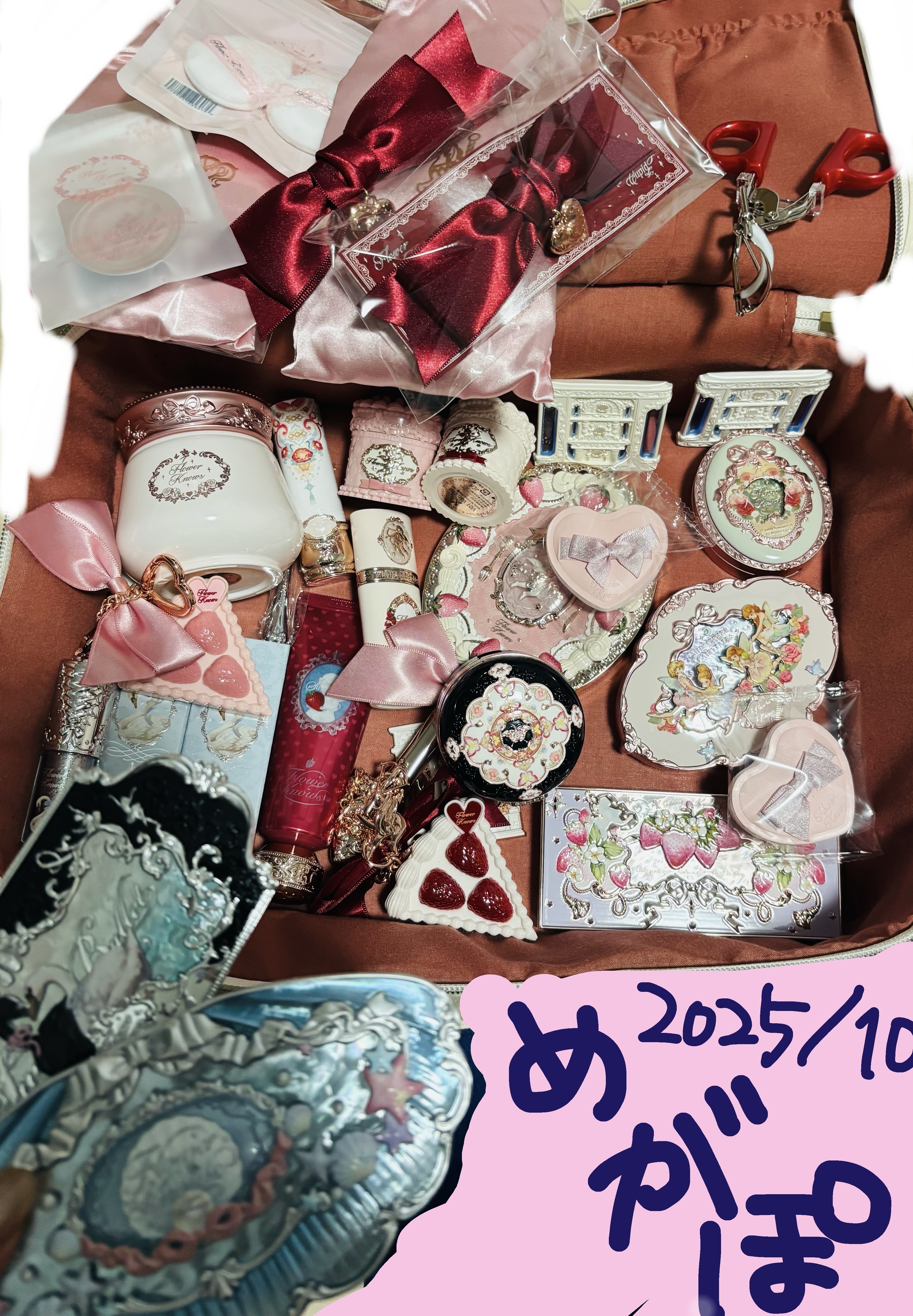 胡蝶雲肩ブラッシュデュオ＜チークカラー＞  /FlowerKnows/パウダーチークを使ったクチコミ（1枚目）