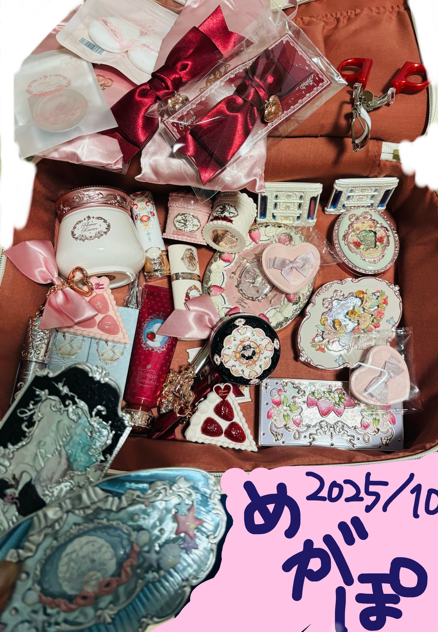 フラワーノーズスワンバレエシリーズ アイシャドウパレット/FlowerKnows/アイシャドウパレットを使ったクチコミ(1枚目)