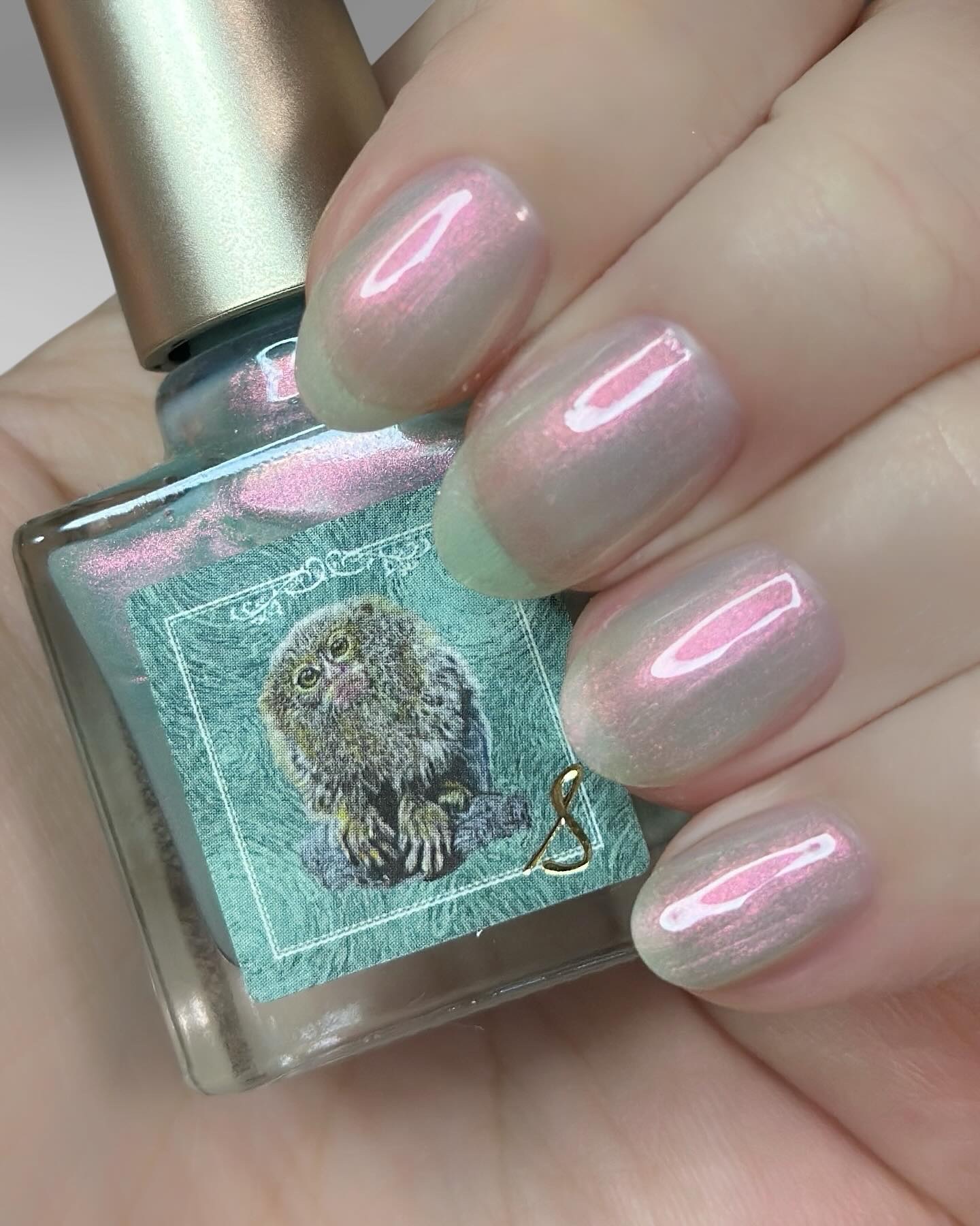 ネイルエス/ nail S(ネイルエス) /マニキュアを使ったクチコミ（1枚目）