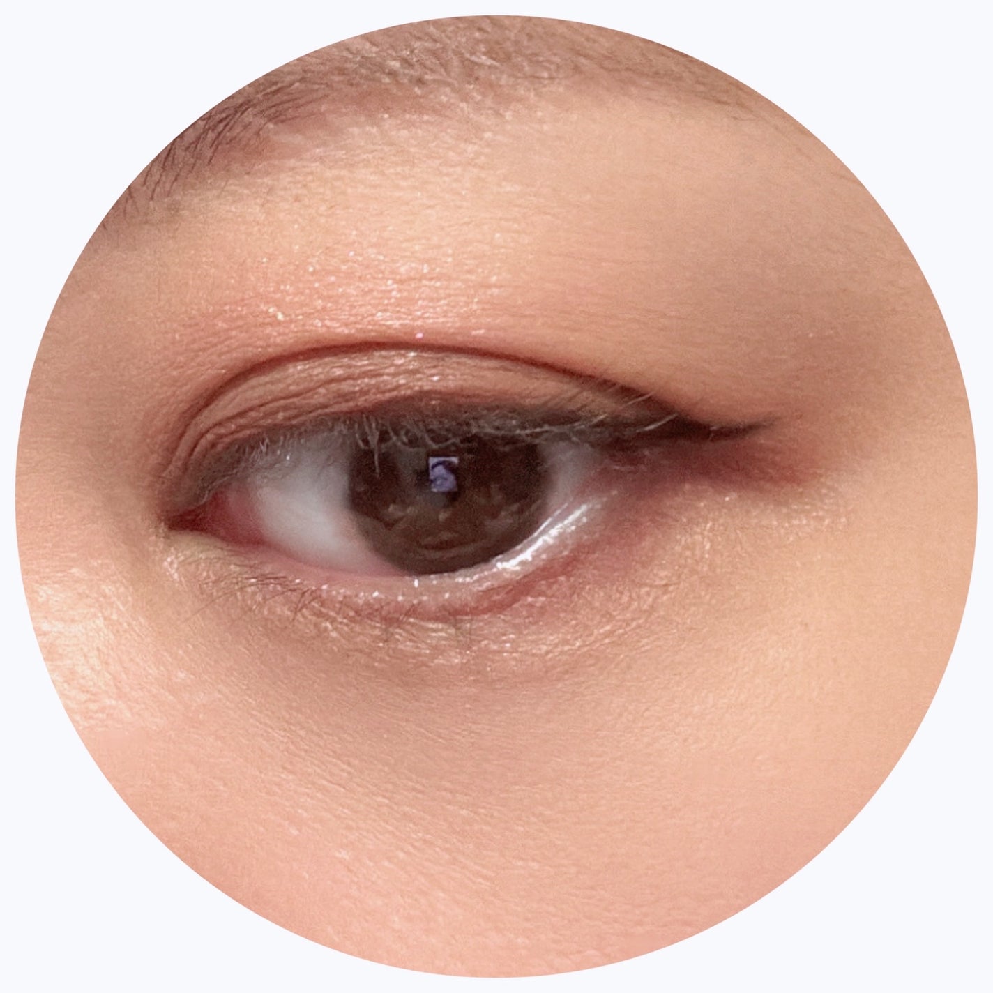 トーンアップアイシャドウ/CEZANNE/アイシャドウパレットを使ったクチコミ(5枚目)