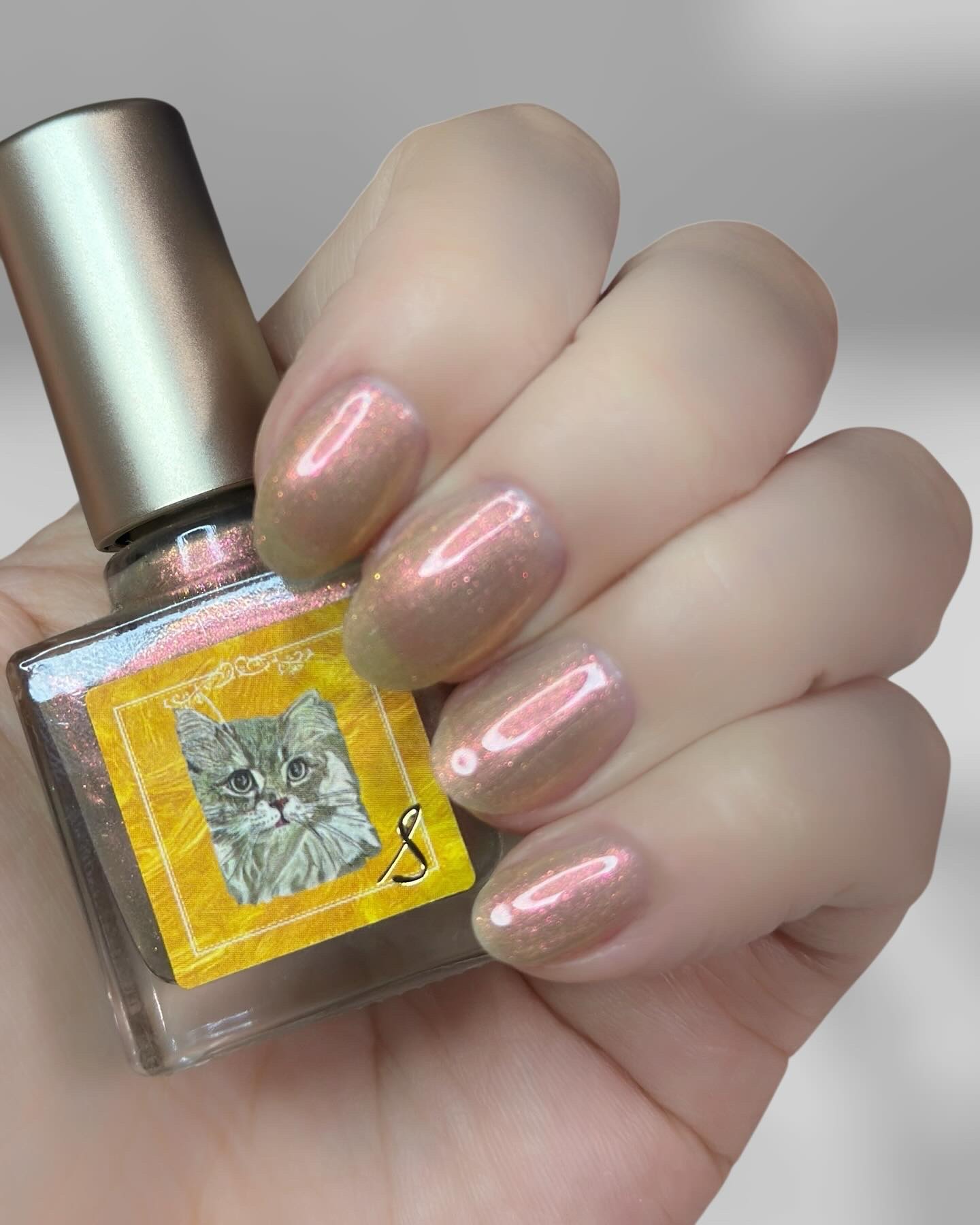 ネイルエス/ nail S(ネイルエス) /マニキュアを使ったクチコミ（2枚目）