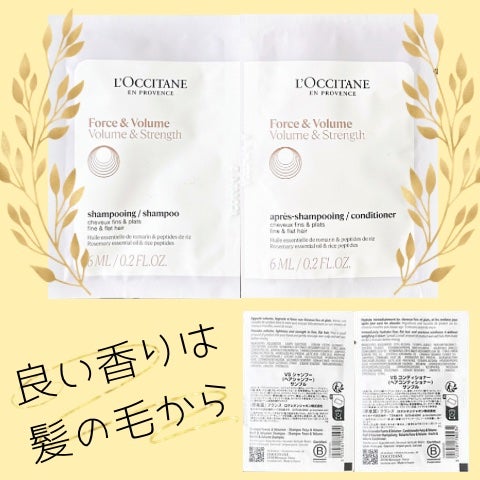 ボリューム&ストレングス シャンプー/コンディショナー/L'OCCITANE/市販シャンプーを使ったクチコミ(1枚目)