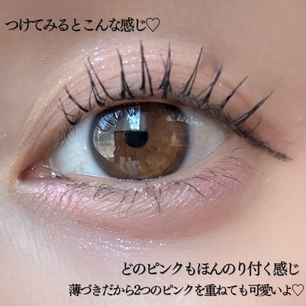 プランぷくコーデアイズ/キャンメイク/パウダーアイシャドウを使ったクチコミ(5枚目)