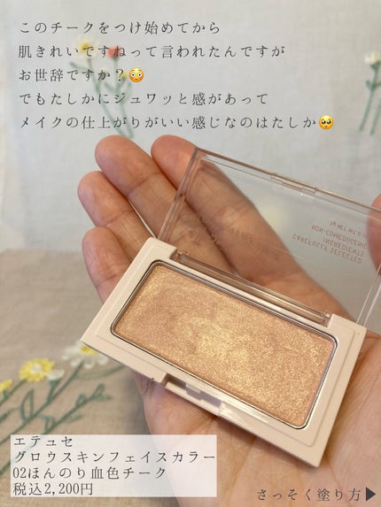 エテュセ グロウスキン フェイスカラー 02 ほんのり血色チーク/ettusais/パウダーチークの画像