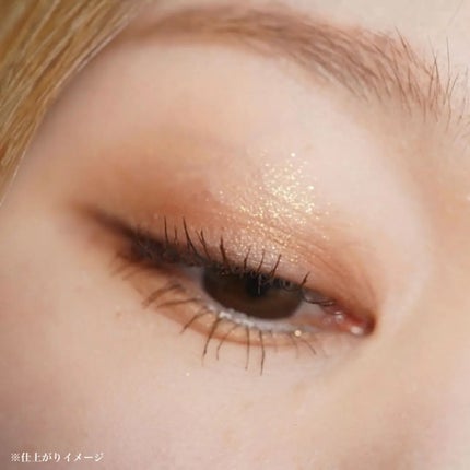 エクスプローラ12色 動物アイシャドウパレット/PERFECT DIARY/アイシャドウパレットを使ったクチコミ(7枚目)