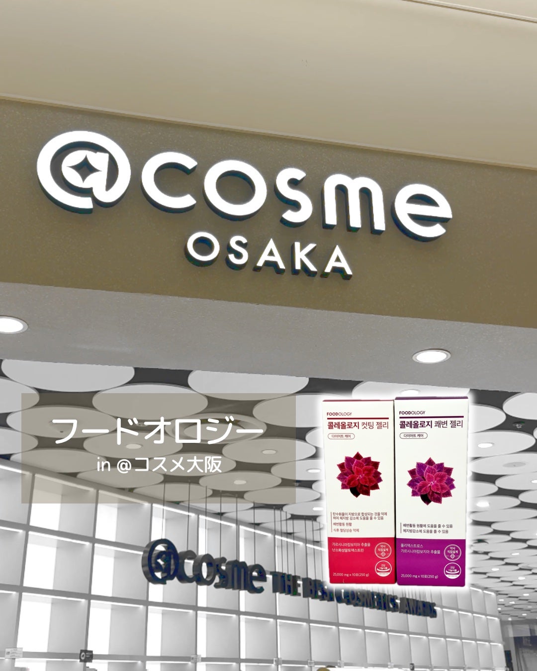 コレオロジー/FOODOLOGY/ボディサプリメントを使ったクチコミ(1枚目)