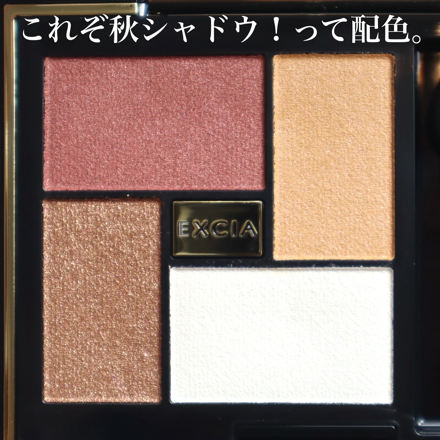 エクシア アイカラー ヴォロンテ/ALBION/アイシャドウパレットを使ったクチコミ（2枚目）