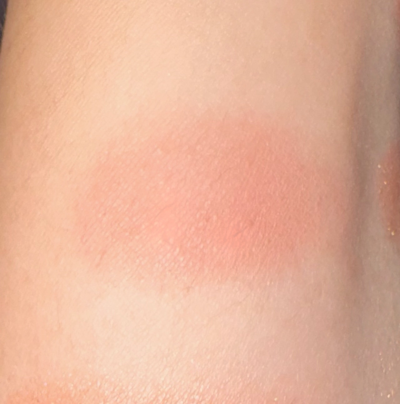 ブラッシュ カラー インフュージョン 06 チャイ/ローラ メルシエ/パウダーチークを使ったクチコミ（2枚目）