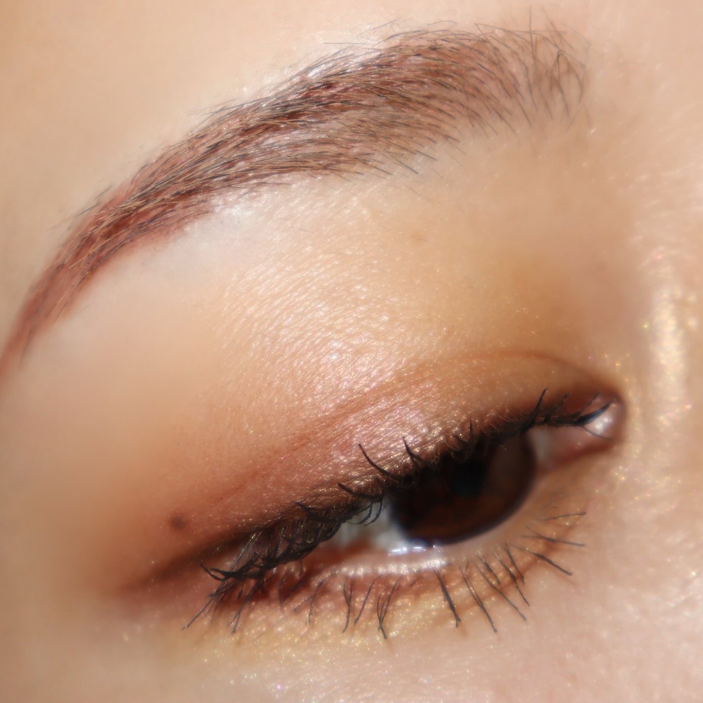 エクシア アイカラー ヴォロンテ/ALBION/アイシャドウパレットを使ったクチコミ(7枚目)