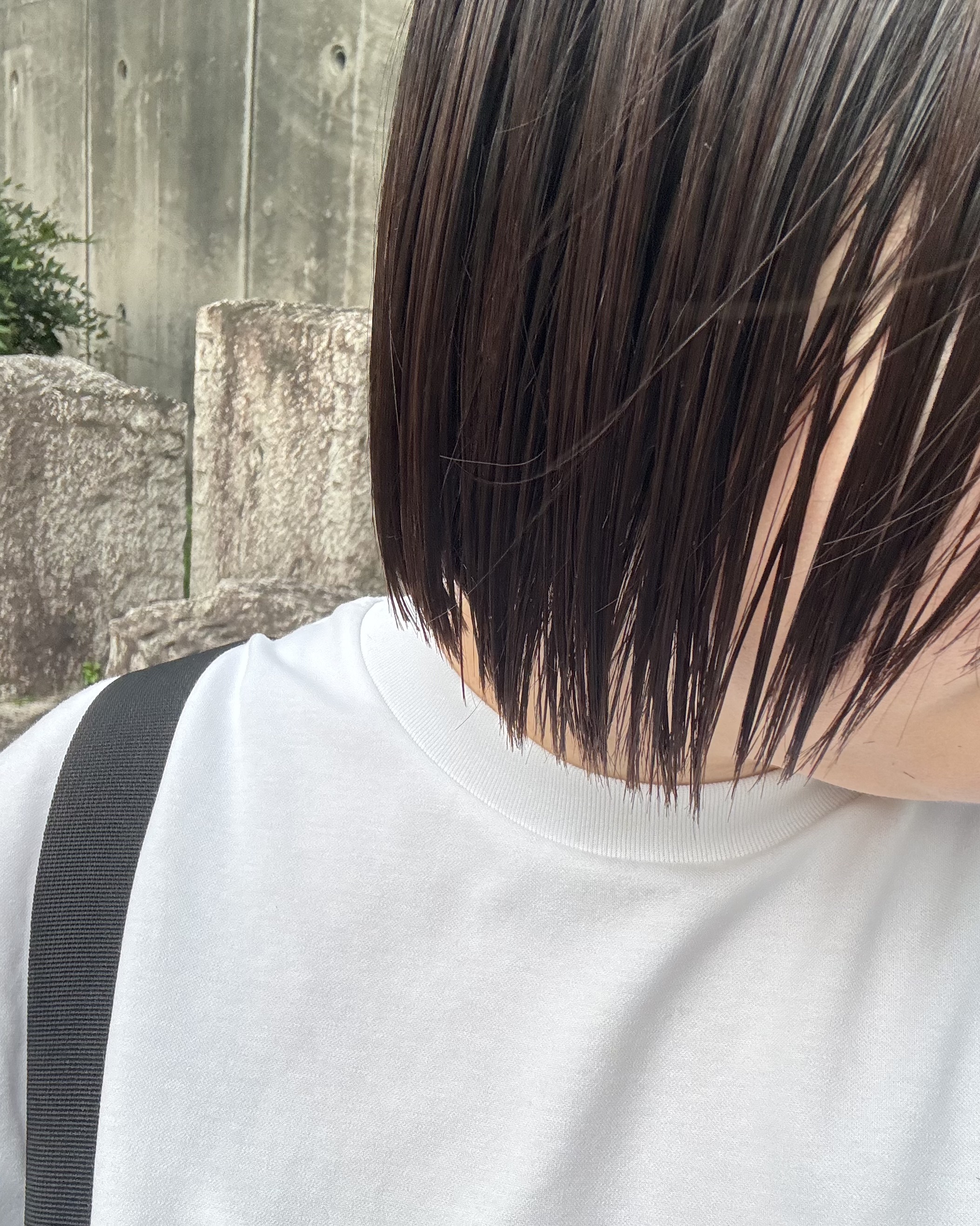 オーセンティックUVケアオイルN 夏みかんの香り/For/アウトバストリートメントを使ったクチコミ（3枚目）