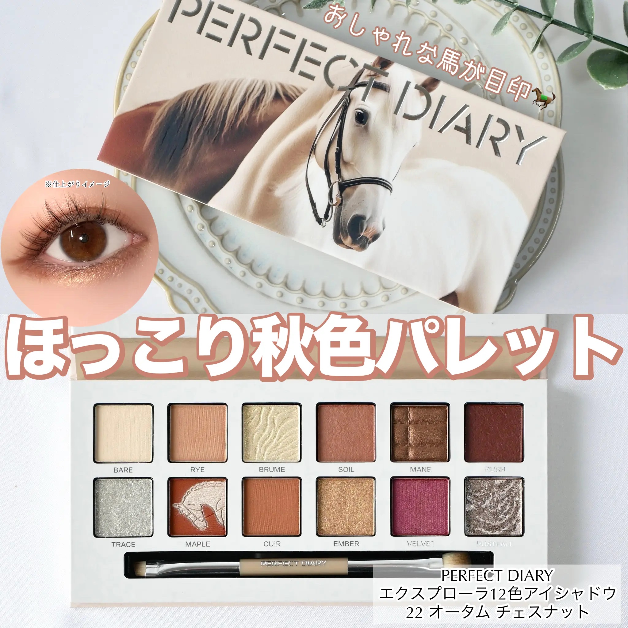 エクスプローラ12色 動物アイシャドウパレット オータムチェスナット/PERFECT DIARY/アイシャドウパレットを使ったクチコミ（1枚目）