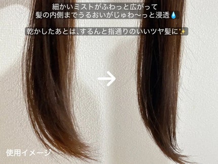 タイムユー キープモイスト シェイキングミスト/T/ME U/ヘアミストを使ったクチコミ(3枚目)