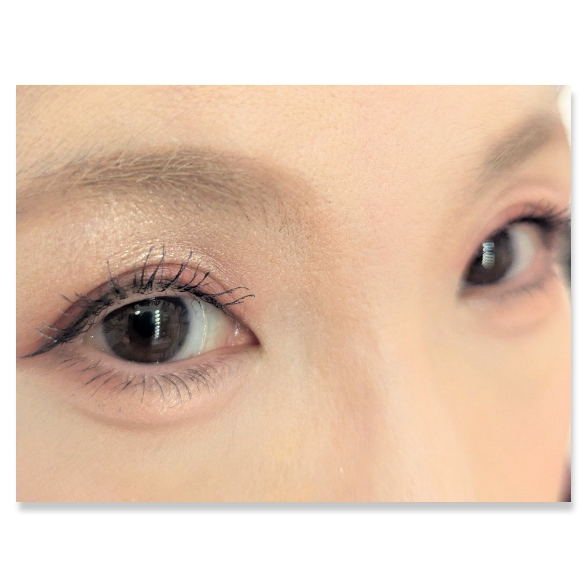 足しパレ/Fujiko/アイシャドウパレットを使ったクチコミ（2枚目）