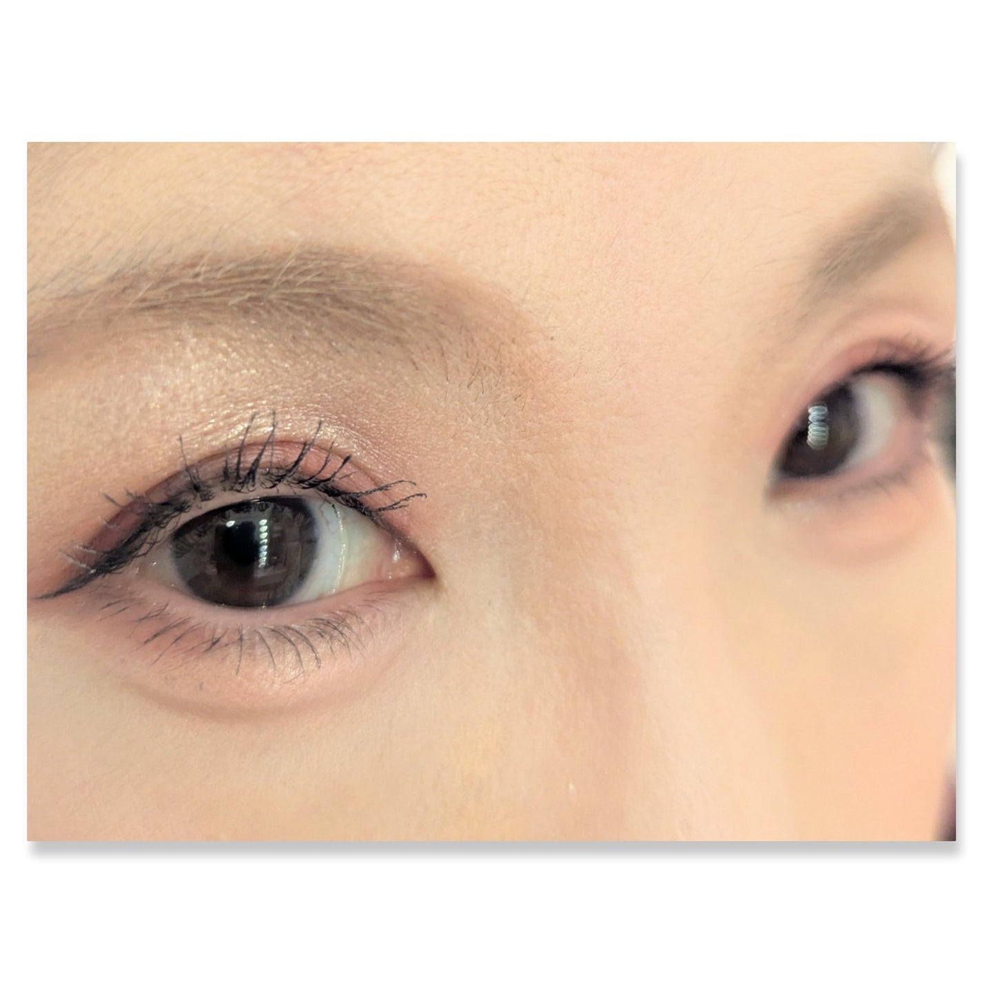 ディオール バックステージ アイ パレット/Dior/アイシャドウパレットを使ったクチコミ(2枚目)