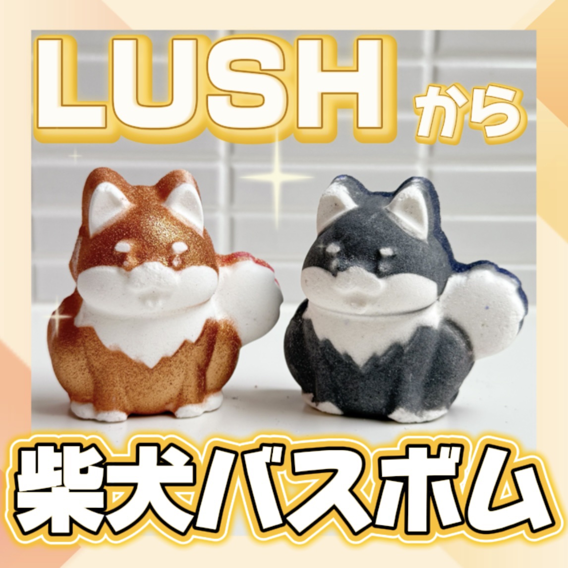 黒柴 ボム（バスボム）/ラッシュ/炭酸系入浴剤を使ったクチコミ（1枚目）