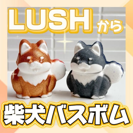 é»æŽ ãã ïŒãã¹ãã ïŒ/ã©ãã·ã¥/çé
žç³»å
¥æµŽå€ã䜿ã£ãã¯ãã³ãïŒ1æç®ïŒ