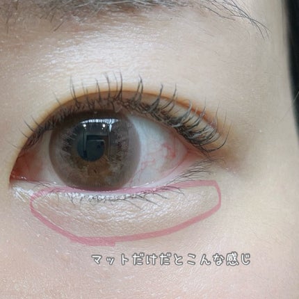 プランぷくコーデアイズNeo/キャンメイク/アイシャドウを使ったクチコミ(6枚目)