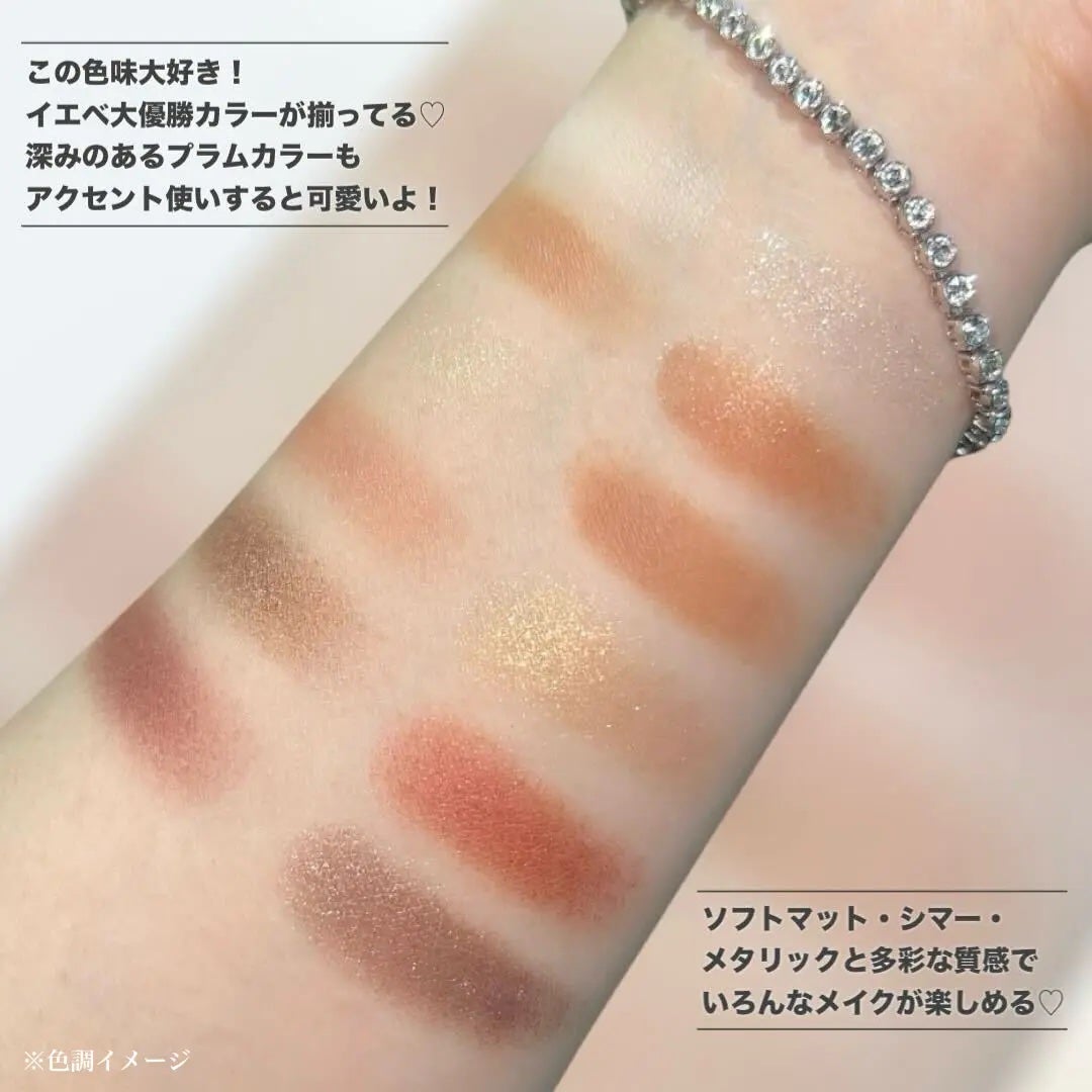 エクスプローラ12色 動物アイシャドウパレット/PERFECT DIARY/アイシャドウパレットを使ったクチコミ(3枚目)