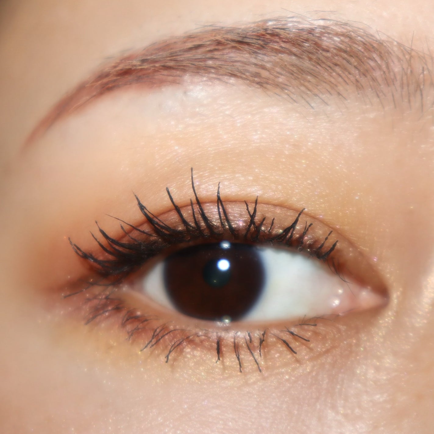 エクシア アイカラー ヴォロンテ/ALBION/アイシャドウパレットを使ったクチコミ(6枚目)