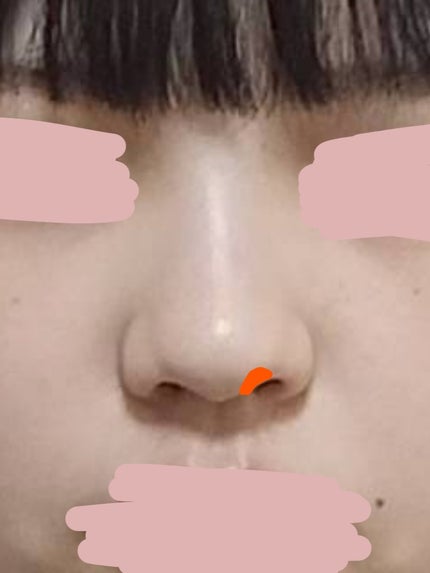 ノーズ&アイブロウパウダー/CEZANNE/パウダーアイブロウを使ったクチコミ(6枚目)