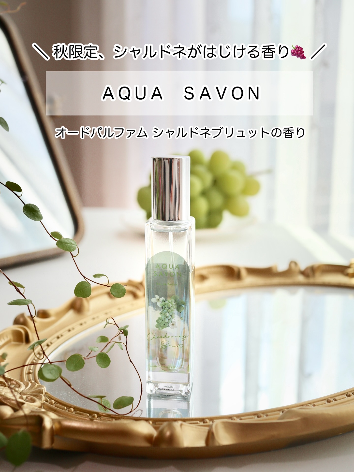 アクア　シャボン　シャルドネブリュットの香り　オードトワレ/アクアシャボン/香水(その他)を使ったクチコミ（1枚目）