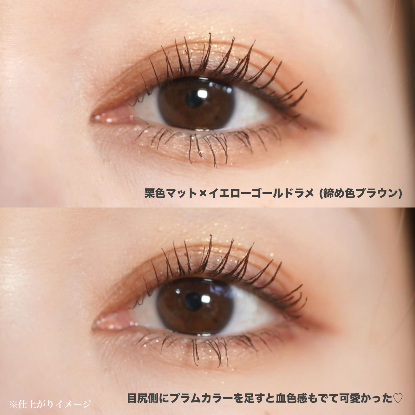 エクスプローラ12色 動物アイシャドウパレット/PERFECT DIARY/アイシャドウパレットを使ったクチコミ(6枚目)