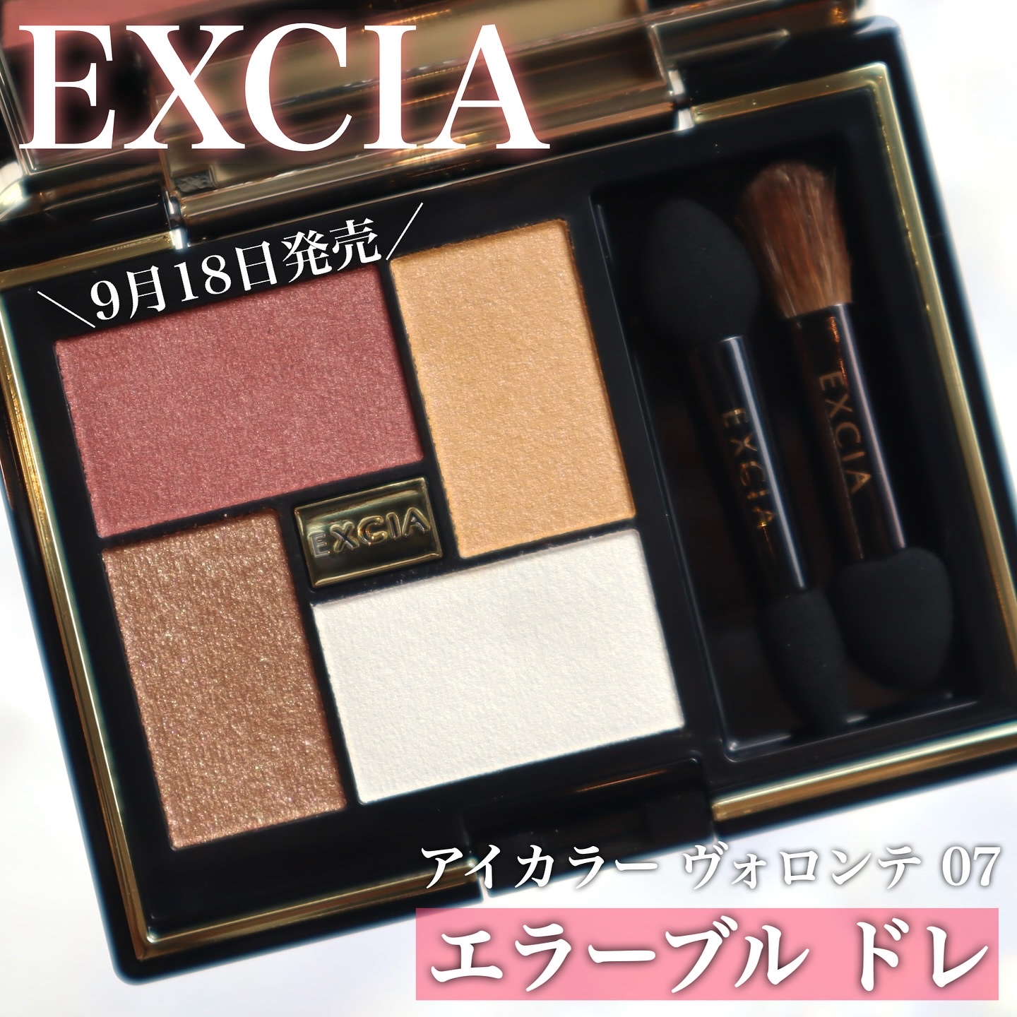 エクシア アイカラー ヴォロンテ/ALBION/アイシャドウパレットを使ったクチコミ（1枚目）