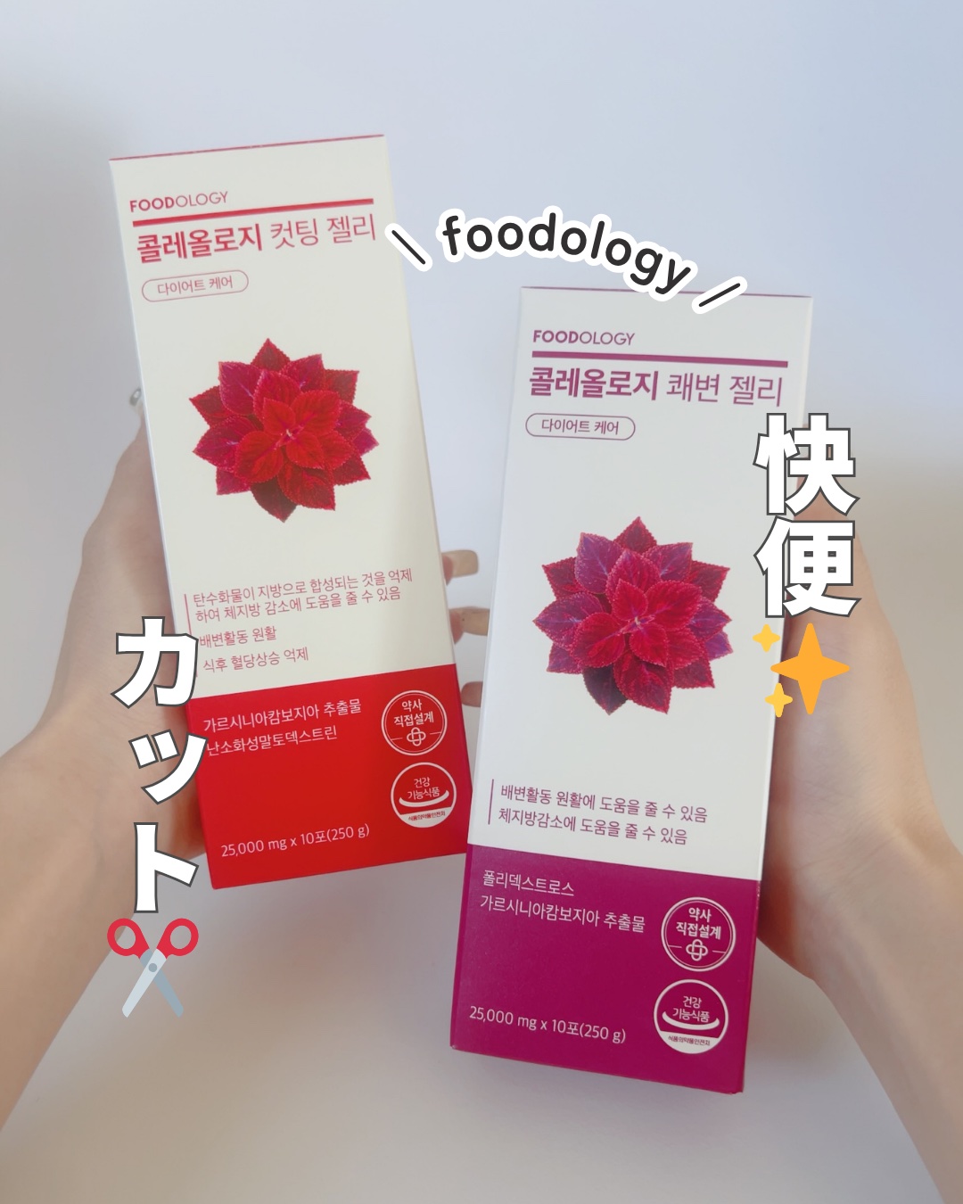 コレオロジーカットゼリー/FOODOLOGY/食品を使ったクチコミ（1枚目）