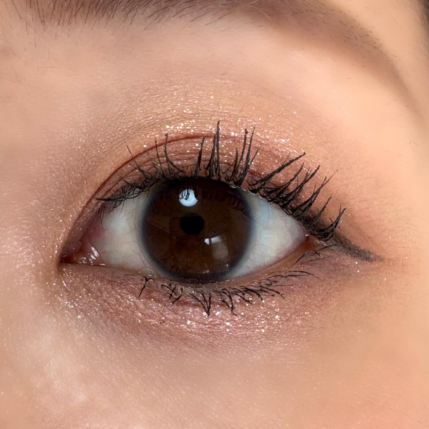 ソフトブラーリングアイパレット/wakemake/アイシャドウパレットを使ったクチコミ（3枚目）