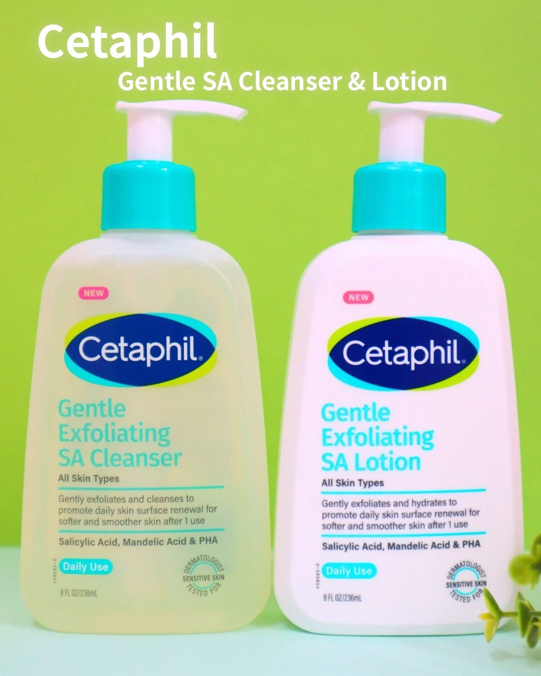 ã»ã¿ãã£ã«ããžã§ã³ãã«SAã¯ã¬ã³ã¶ãŒ/ã»ã¿ãã£ã«/ããŒãªã³ã°ã䜿ã£ãã¯ãã³ãïŒ1æç®ïŒ