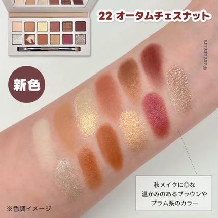 エクスプローラ12色 動物アイシャドウパレット/PERFECT DIARY/アイシャドウパレットを使ったクチコミ(4枚目)