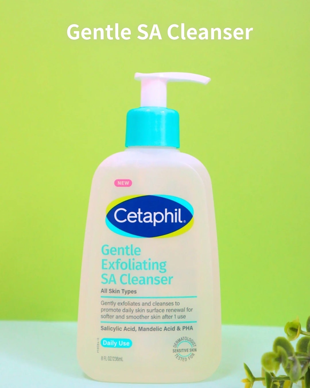 ã»ã¿ãã£ã«ããžã§ã³ãã«SAã¯ã¬ã³ã¶ãŒ/ã»ã¿ãã£ã«/ããŒãªã³ã°ã䜿ã£ãã¯ãã³ãïŒ2æç®ïŒ