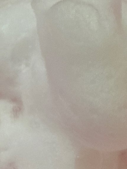 ボディウォッシュ クリーンソープ/46cm/ボディソープを使ったクチコミ(5枚目)