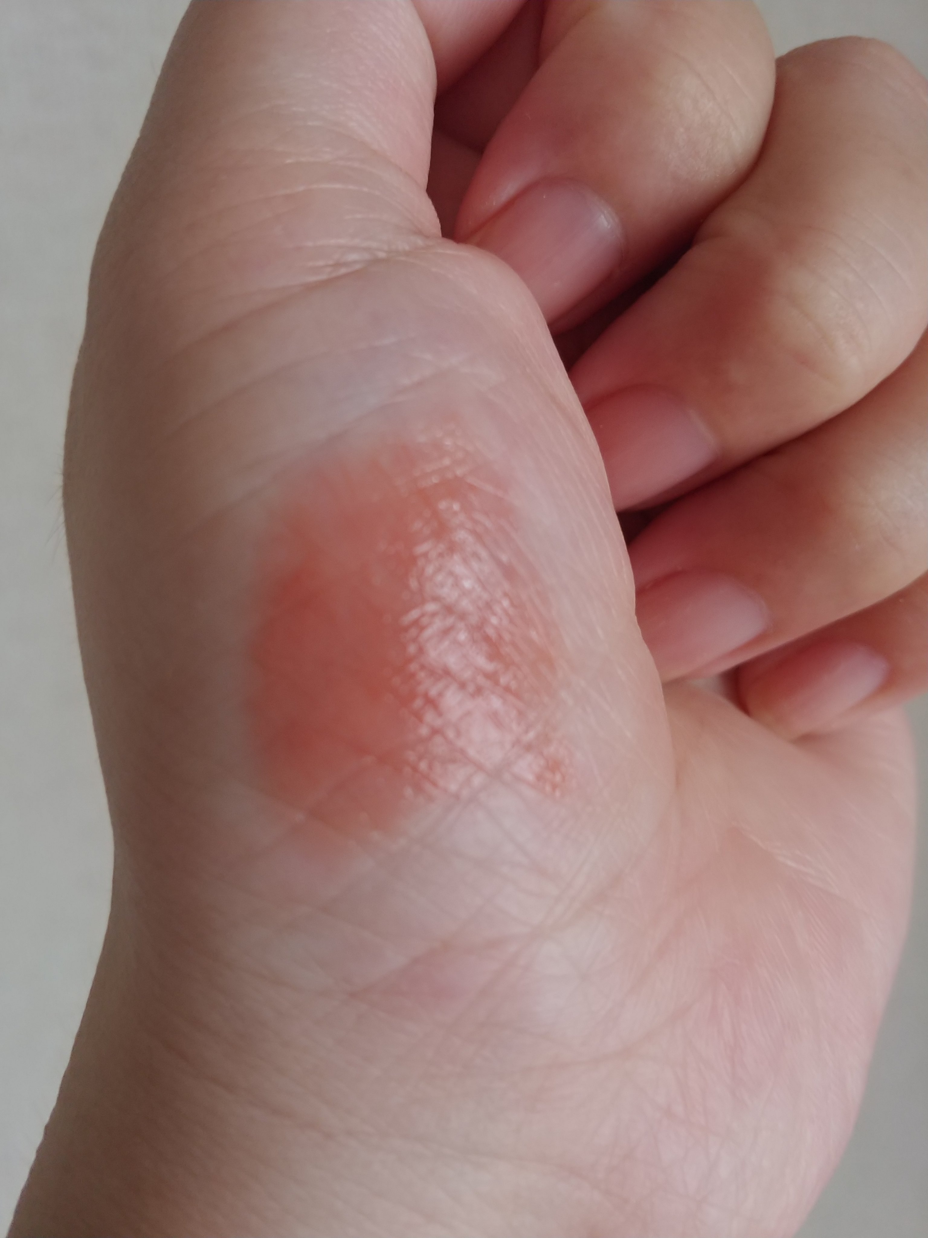 ドラマティックエッセンスルージュ/マキアージュ/口紅を使ったクチコミ（2枚目）