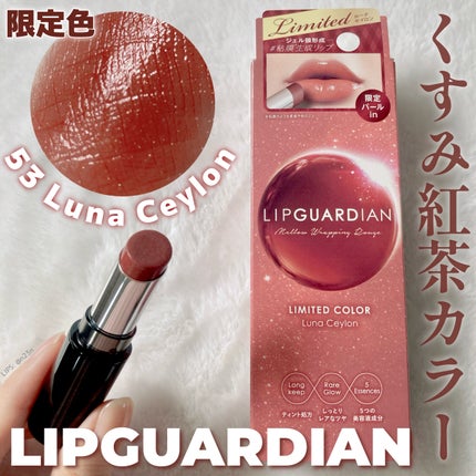 メロウラッピングルージュ/LIPGUARDIAN/口紅を使ったクチコミ(1枚目)