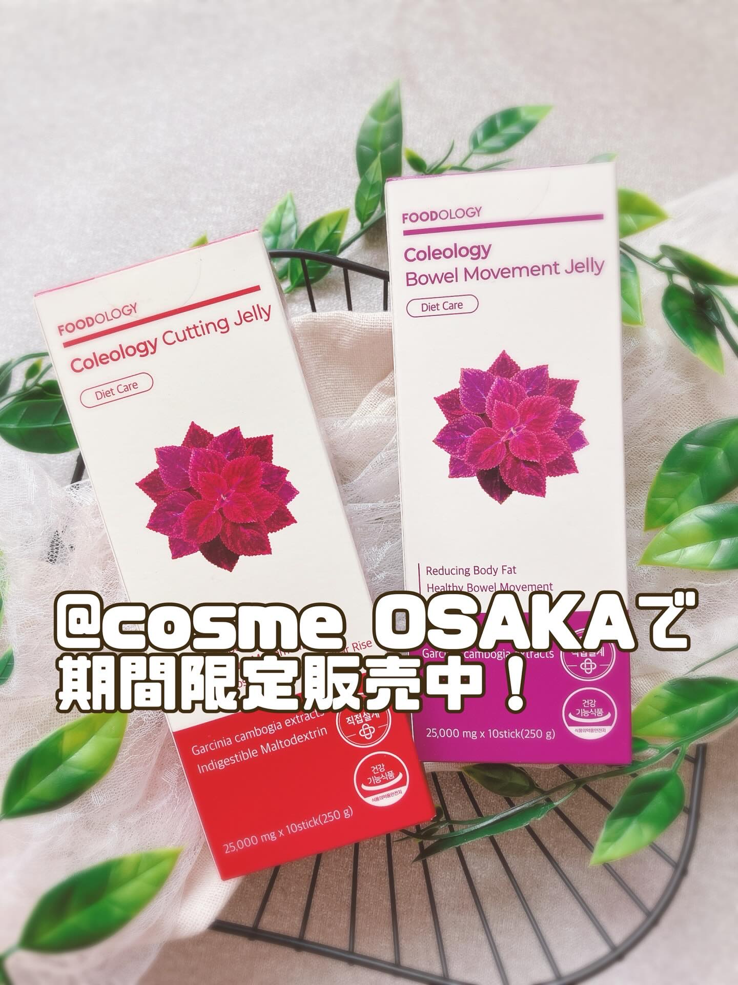 コレオロジー快調ゼリー/FOODOLOGY/健康サプリメントを使ったクチコミ（1枚目）