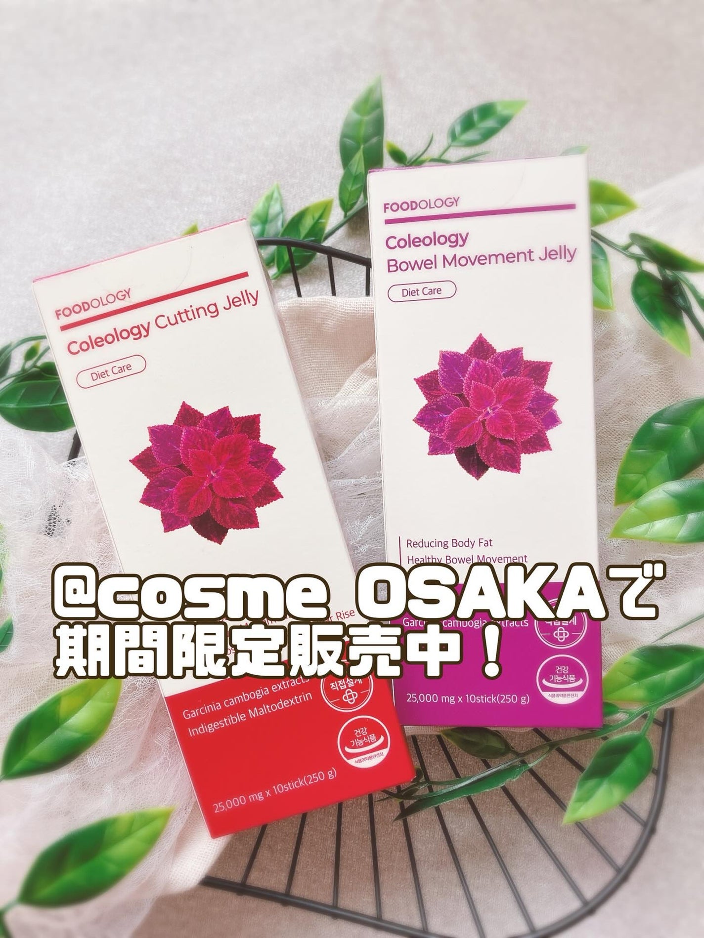 コレオロジー/FOODOLOGY/ボディサプリメントを使ったクチコミ(1枚目)