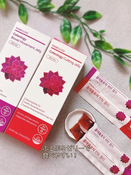 コレオロジー快調ゼリー/FOODOLOGY/健康サプリメントを使ったクチコミ(3枚目)
