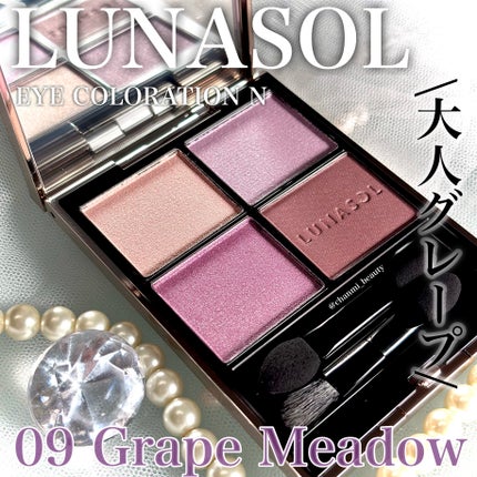 ルナソル アイカラーレーションN/LUNASOL/アイシャドウパレットを使ったクチコミ(1枚目)