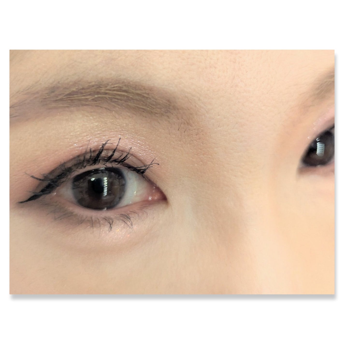 ソフトブラーリングアイパレット/wakemake/アイシャドウパレットを使ったクチコミ(2枚目)