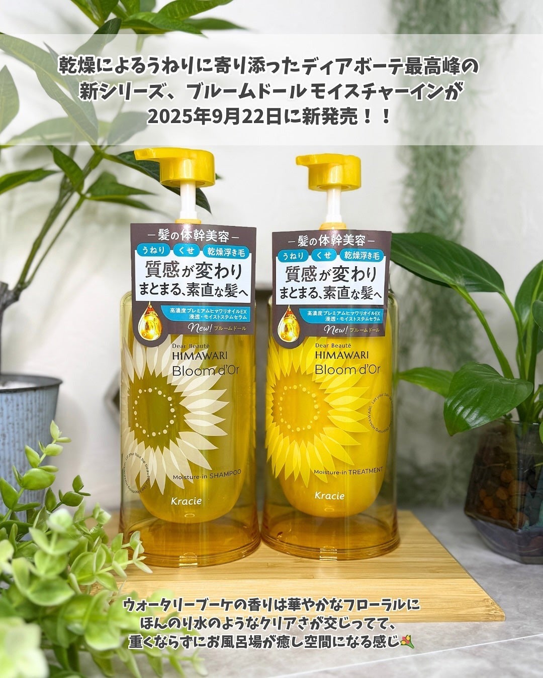 ディアボーテ ブルームドール モイスチャーイン シャンプー/トリートメント/ディアボーテ/市販シャンプーを使ったクチコミ(2枚目)