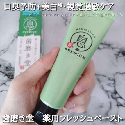 薬用フレッシュペースト【医薬部外品】/歯磨き堂/歯磨き粉を使ったクチコミ(1枚目)