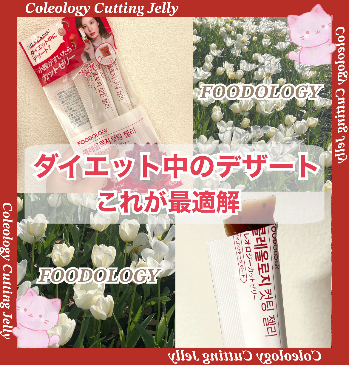 コレオロジーカットゼリー 3本入り / FOODOLOGY(フードオロジー) | LIPS