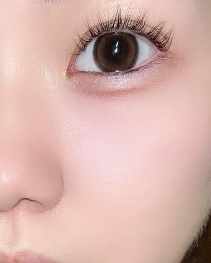 MOLAK 1day ブラウンバニー/MOLAK/ワンデー(1DAY)カラコンの画像