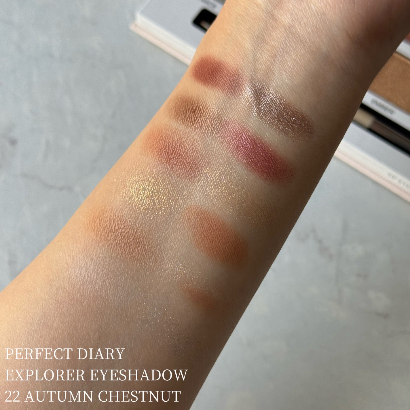 エクスプローラ12色 動物アイシャドウパレット/PERFECT DIARY/アイシャドウパレットを使ったクチコミ(2枚目)