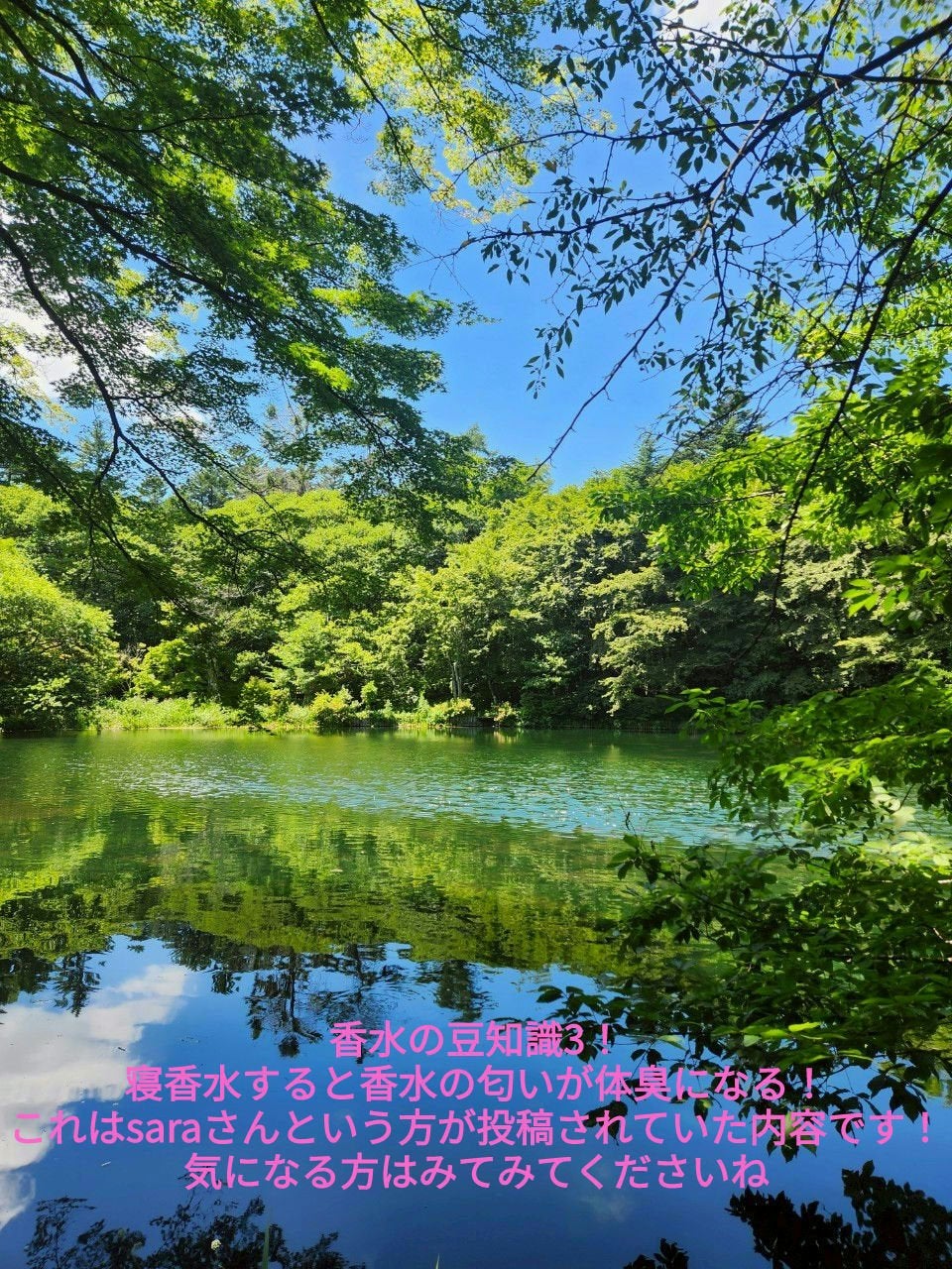 ロウレンス オードトワレ マベルフルール/ロウレンス /香水(レディース)を使ったクチコミ(4枚目)